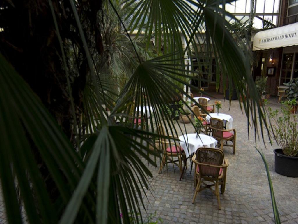 Sachsenwald Hotel Reinbek Exterior photo